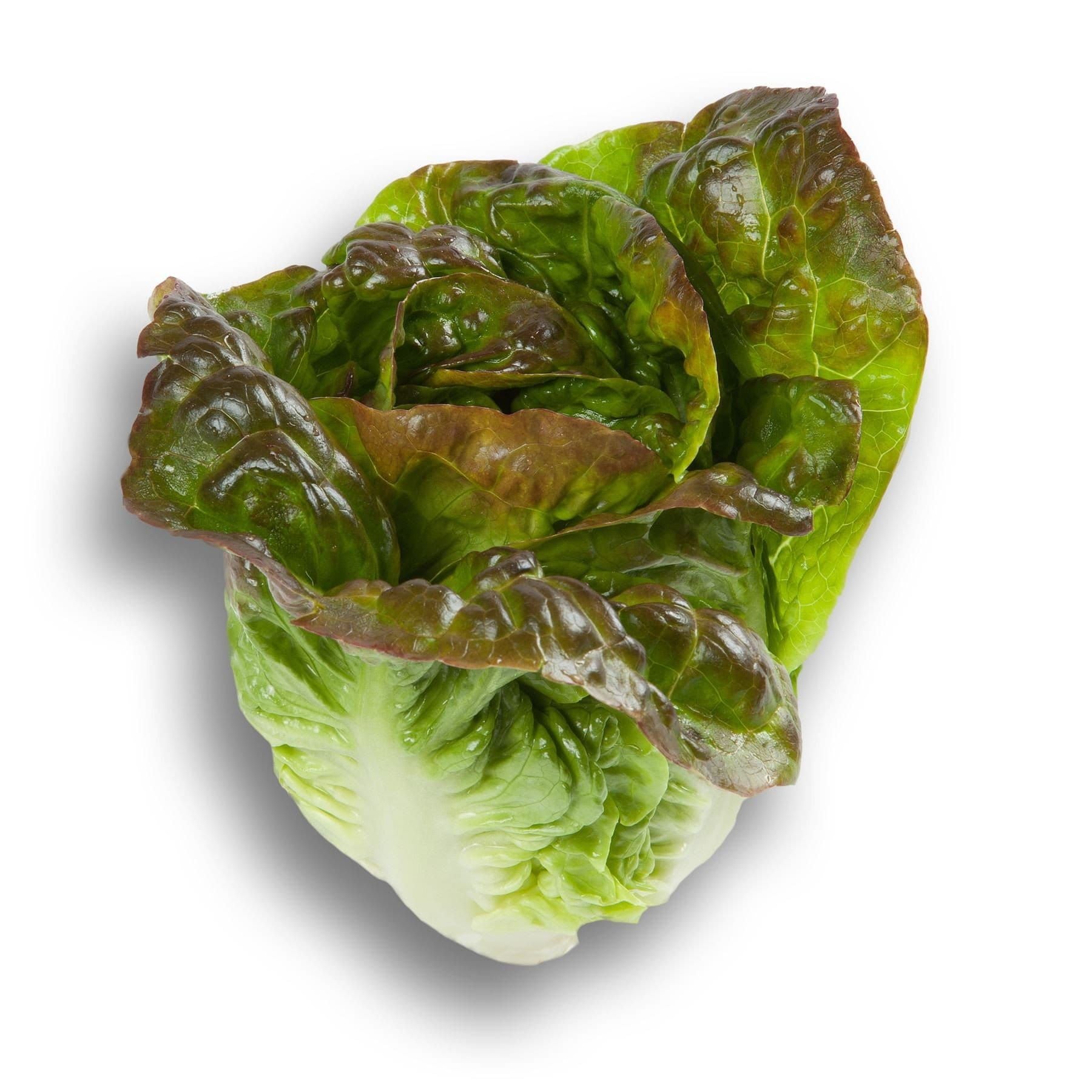 006c00ed-d0aa-413f-b4ef-a2bf9e7399ae_comp_c49ed689-0dd8-4d5e-b214-10e25028f0c4.jpg