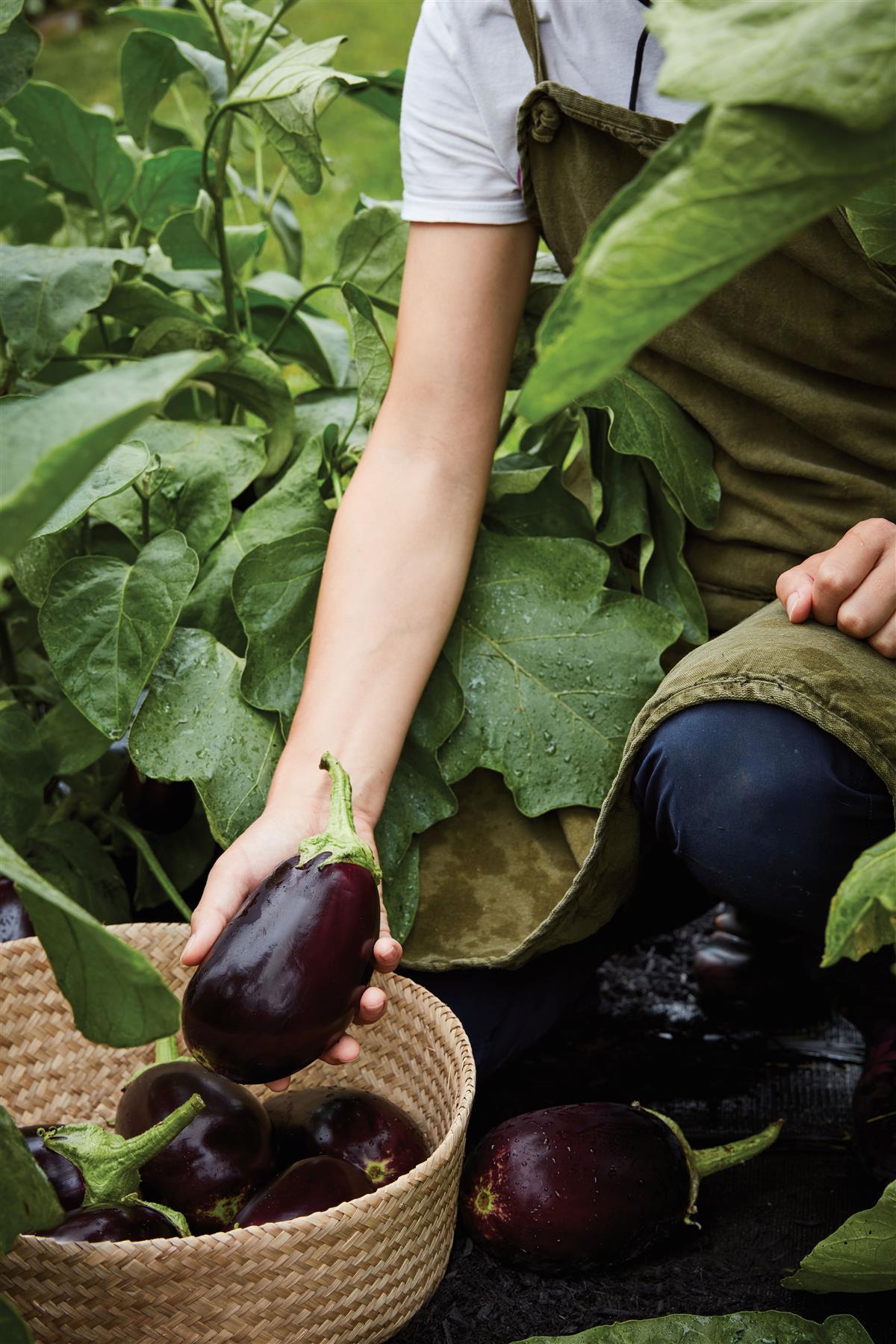 0dd07ff3-afcb-438b-bcf4-a6ceb955ea2a.jpg