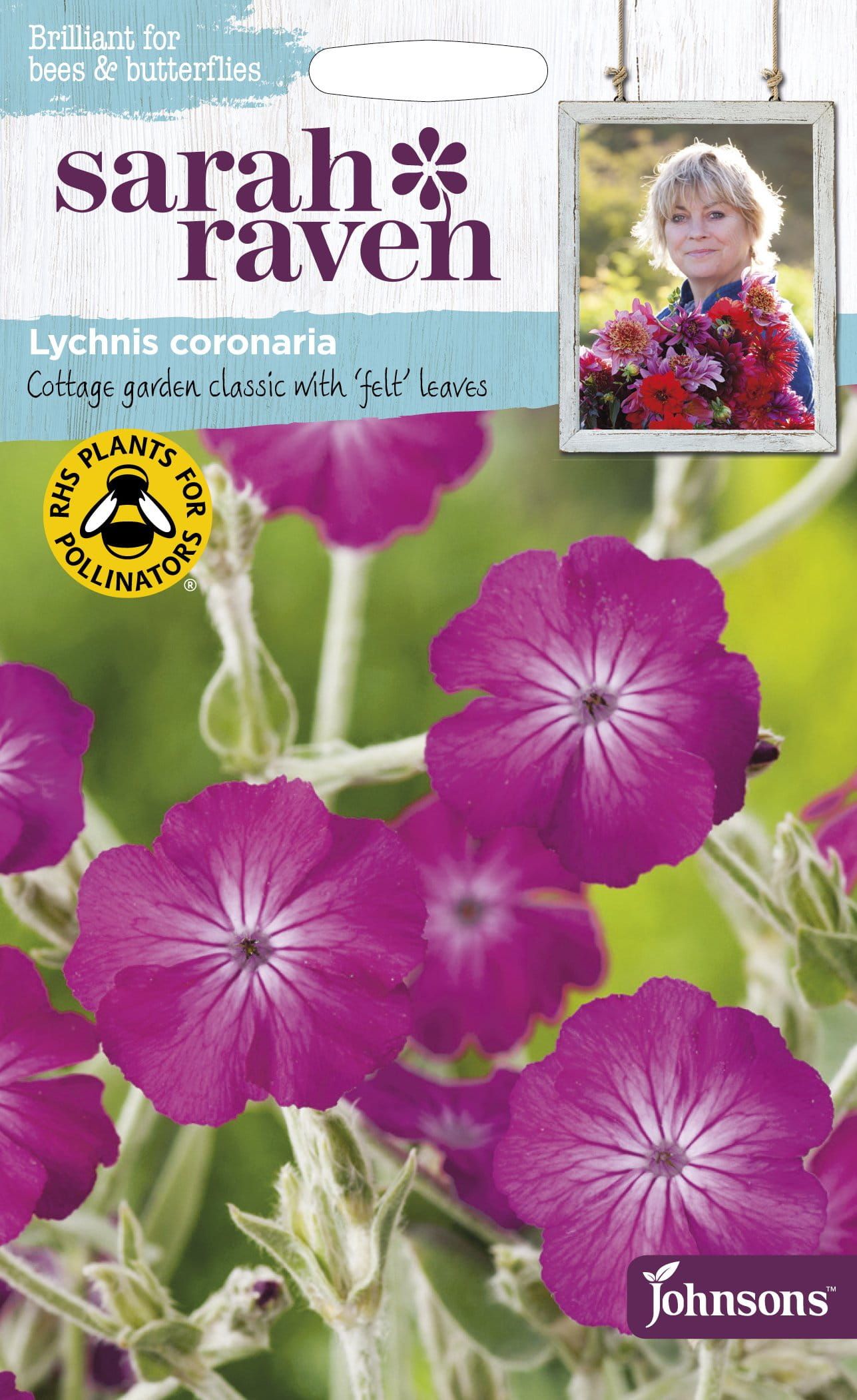 128435_Lychnis_coronaria_Sarah_Raven_comp_f97d88ab-4ac9-4dfa-858c-76d2e426e1f5.jpg