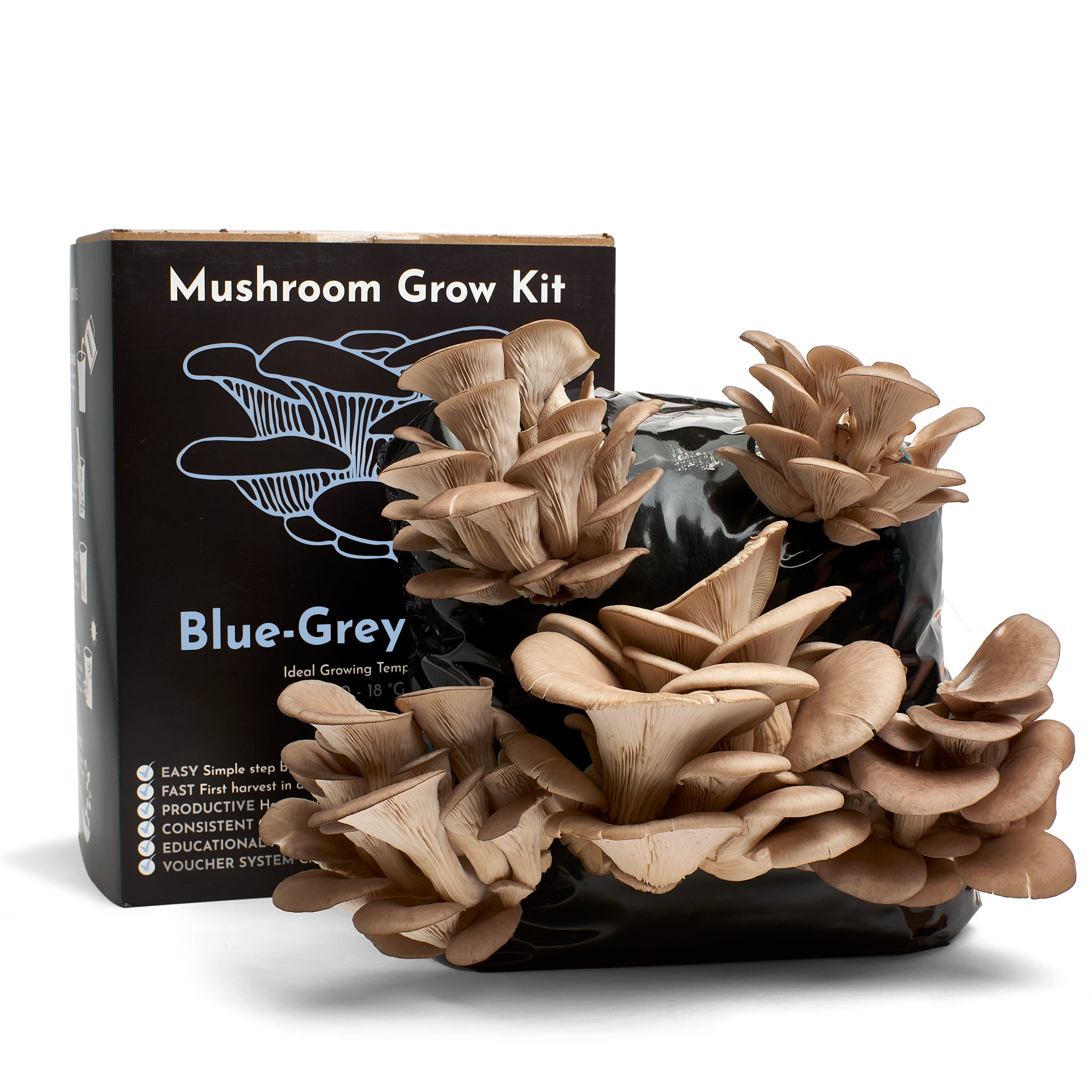 1UrbanFarm-It_MushroomGrowKit_BlueGreyOyster_1.jpg
