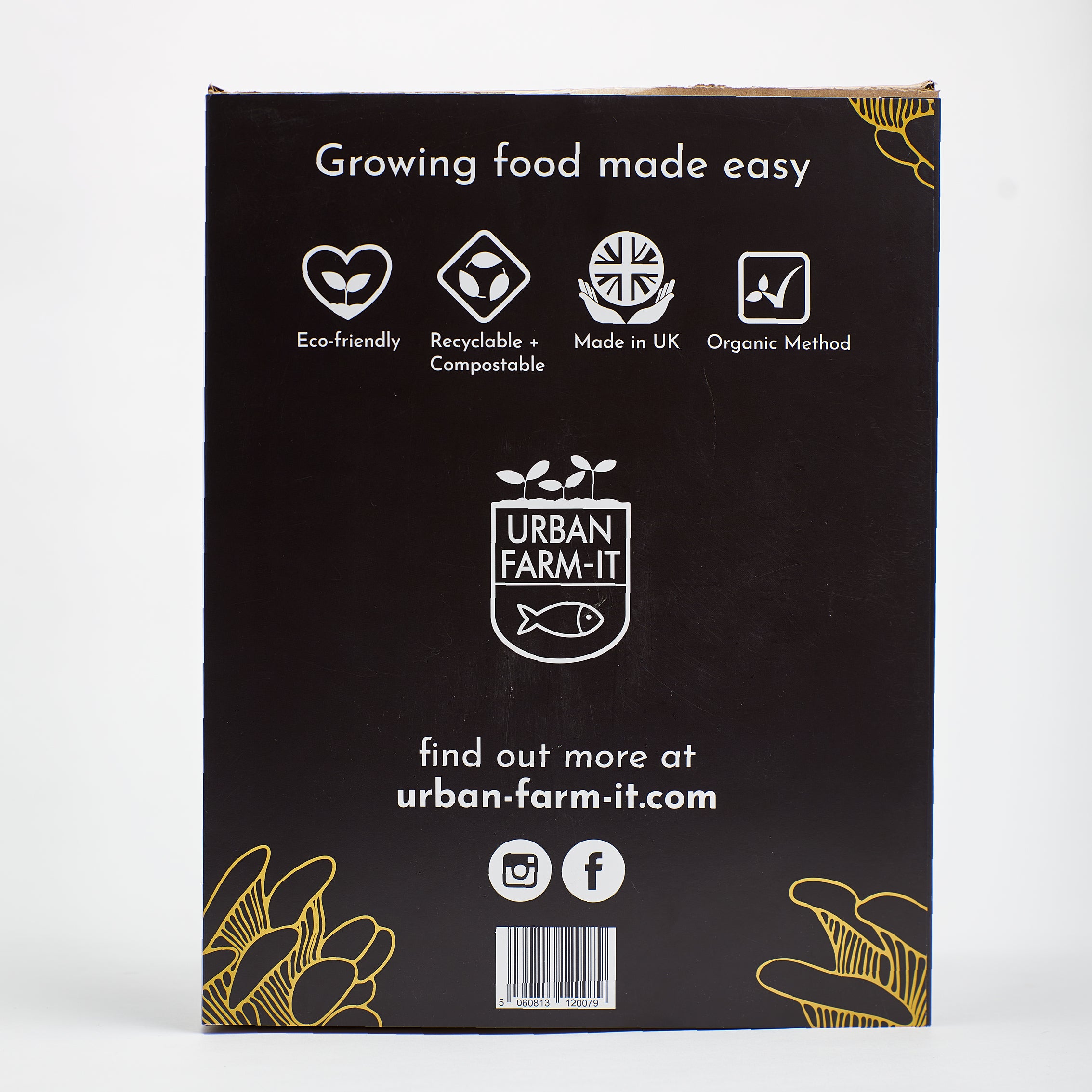 1UrbanFarm-It_MushroomGrowKit_GoldenOyster_7.jpg
