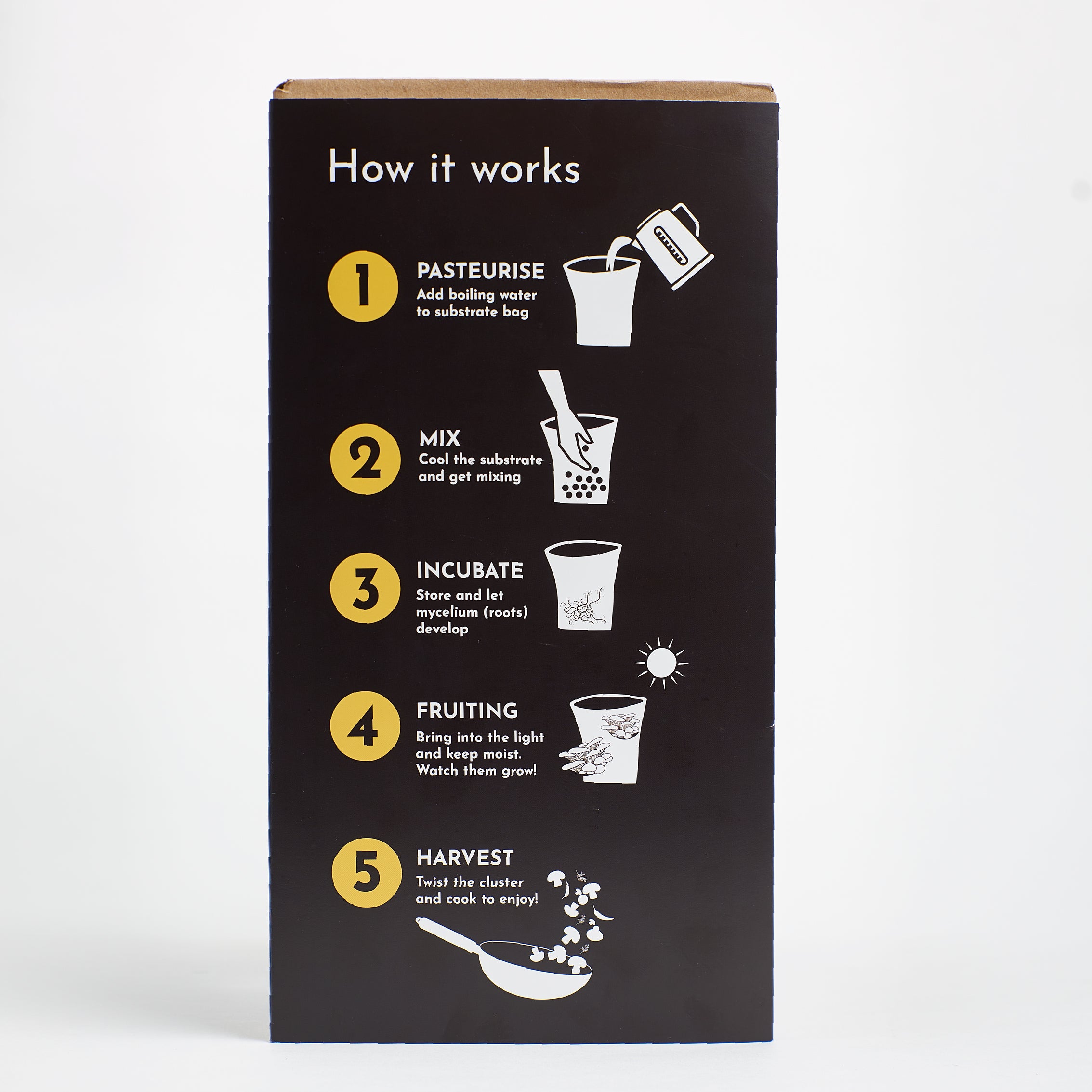 1UrbanFarm-It_MushroomGrowKit_GoldenOyster_8.jpg