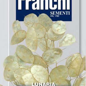 Franchi Seeds of Italy - Flower - FDBF_ 362-1 - Lunaria moneta Del Papa - Seeds