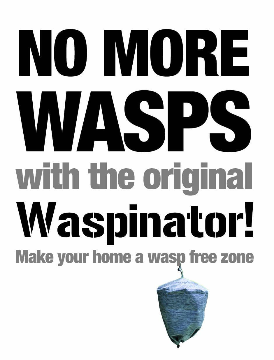 NOMOREWASPSLOGO_comp_716d9f59-e72a-449c-9652-63c079efabf5.jpg