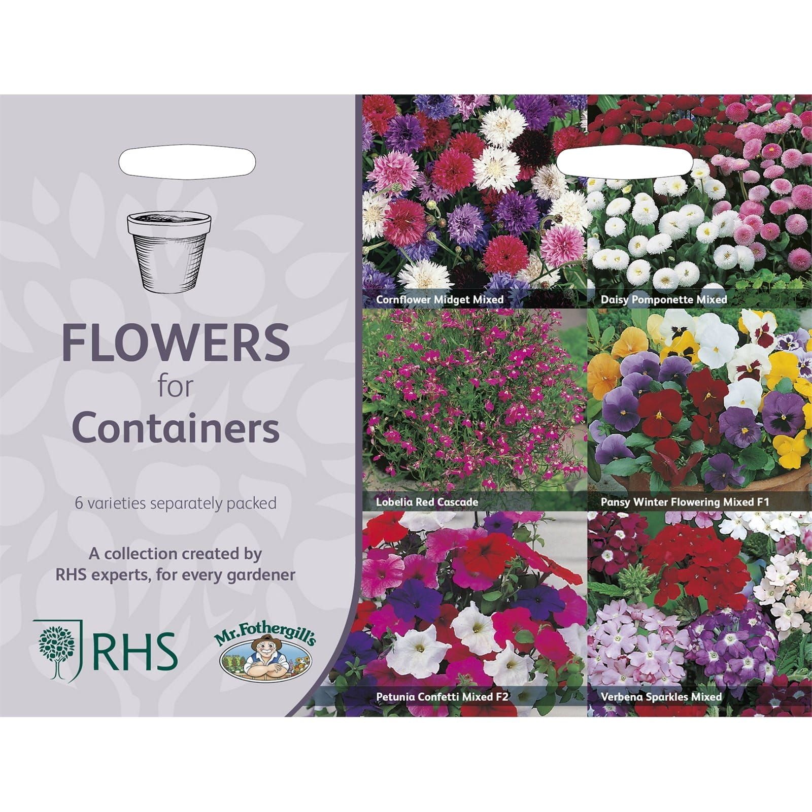 RHS_Flowers_For_Containers_Collection_comp_495df093-d2ea-4b2e-a1b2-dfdbbca17186.jpg