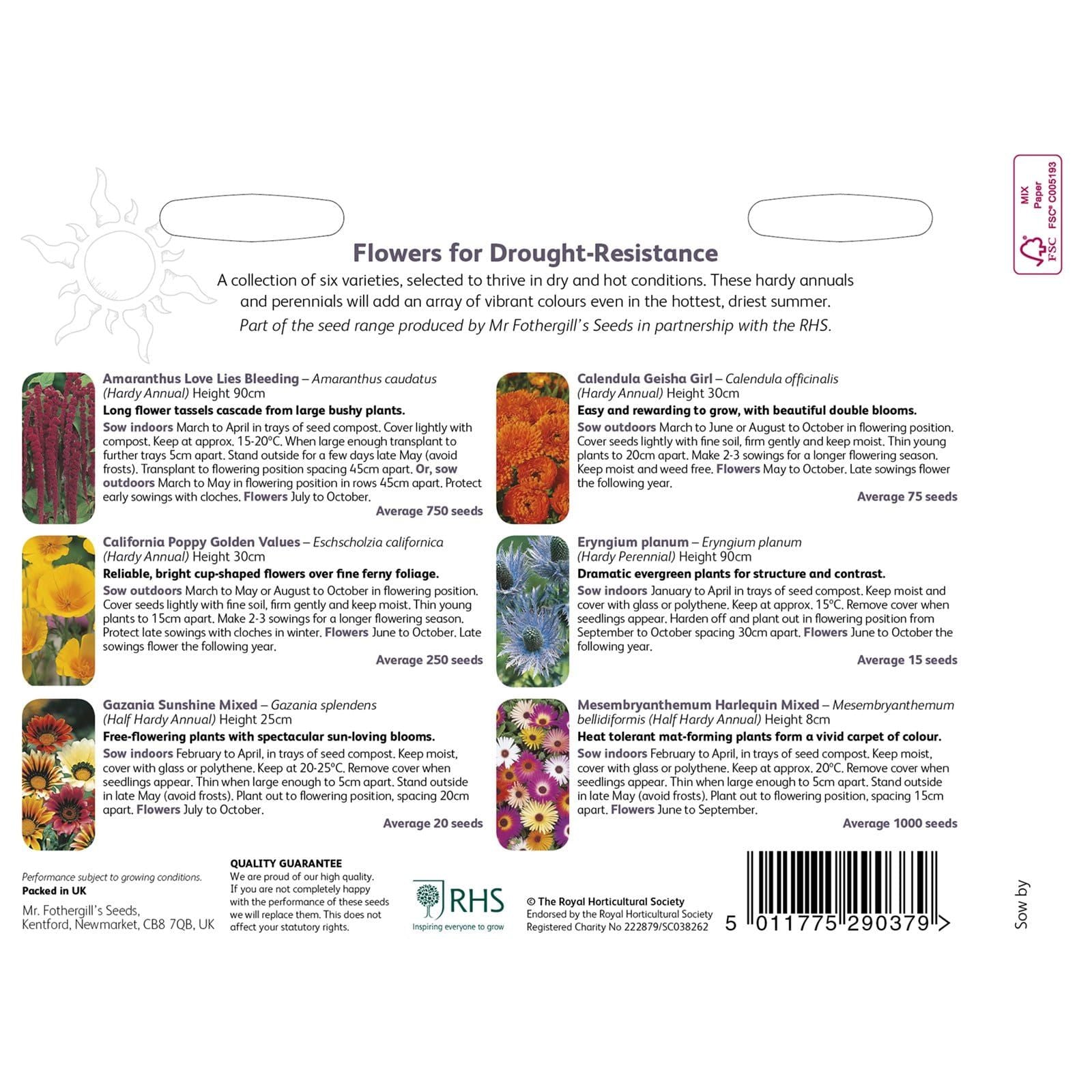 RHS_Flowers_For_Drought-Resistance_Collection_2_comp_1413a963-308f-4f0c-be1c-950ba88ed4c7.jpg
