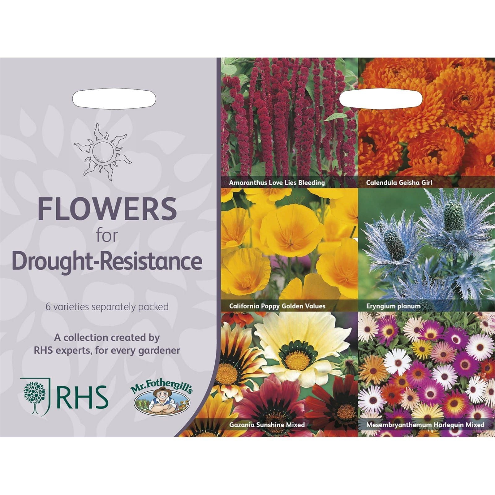 RHS_Flowers_For_Drought-Resistance_Collection_comp_d8c03826-5c7d-4c59-8262-07f3e52e8373.jpg