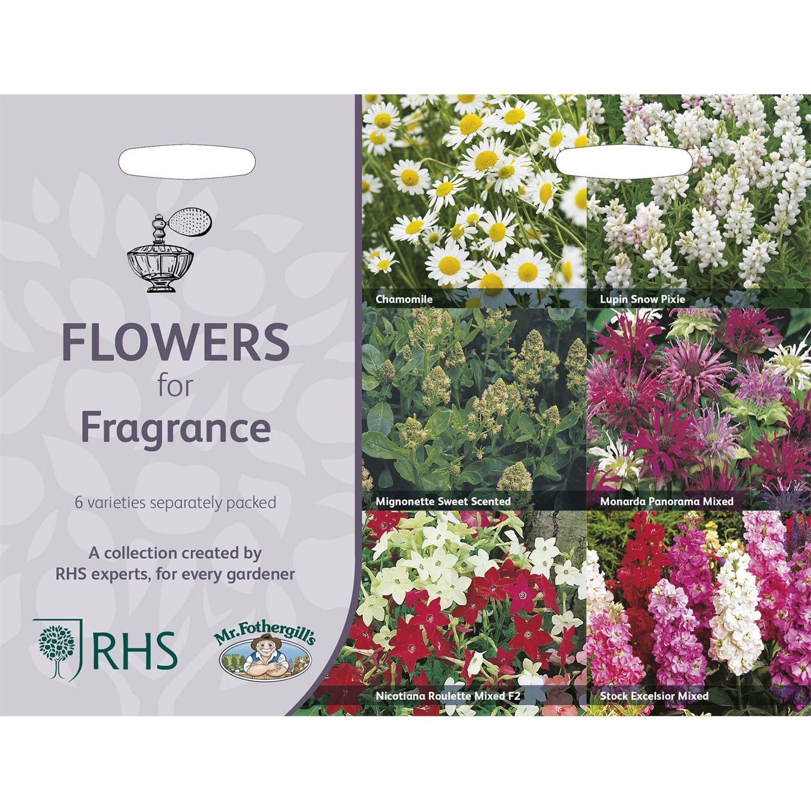 RHS_Flowers_For_Fragrance_Collection_comp_3135950c-d17c-459f-8299-2dde921d29ae.jpg