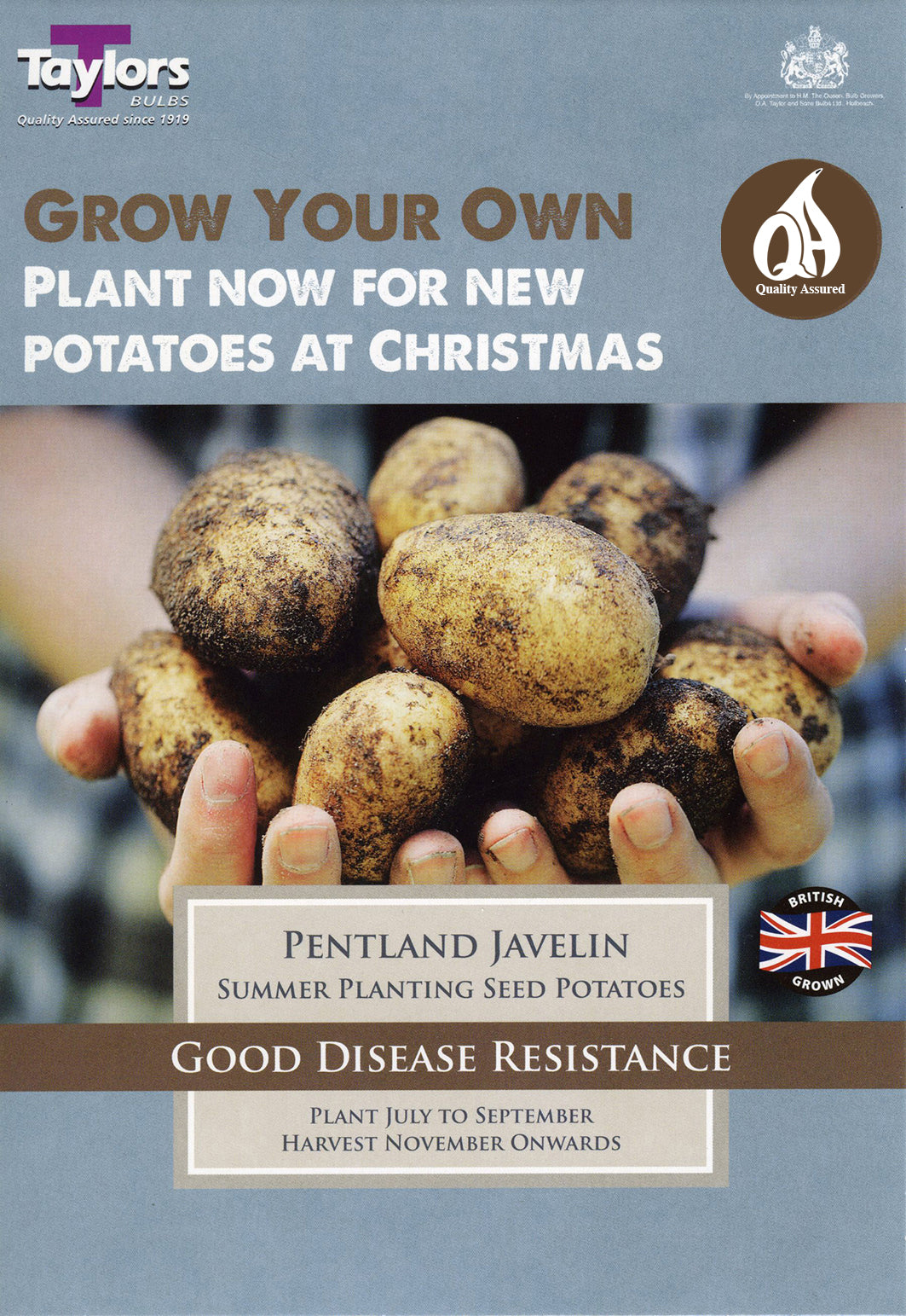 VP603PentlandJavelin_1.jpg