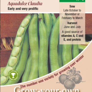 Kings Seeds Broad Bean Aquadulce Claudia 45 Seeds