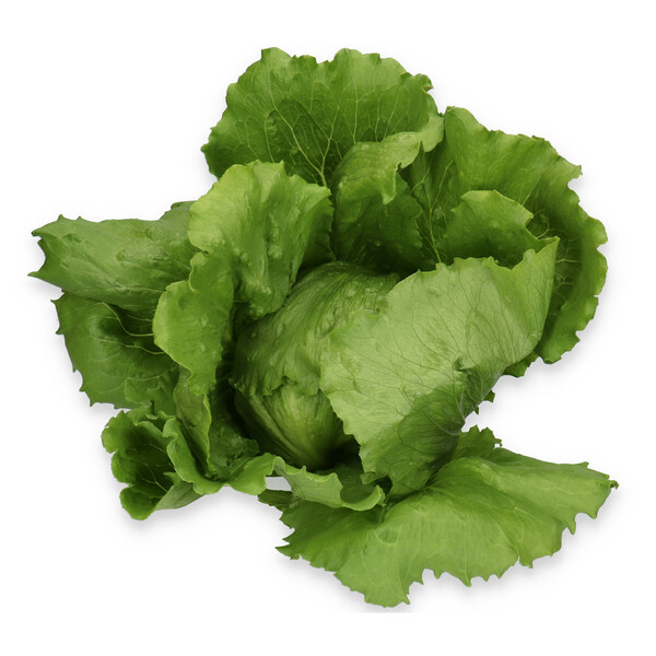 corv4.png