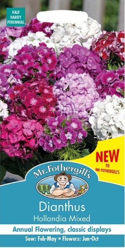 diahollandia_comp_5052d2cb-3e32-4844-bfb9-1031f2a404db.jpg