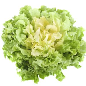 Endive Blonde Full Heart Seeds