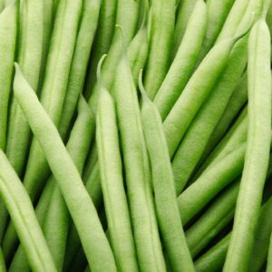 Kings Seeds Climbing French Bean Cobra 50 Seeds