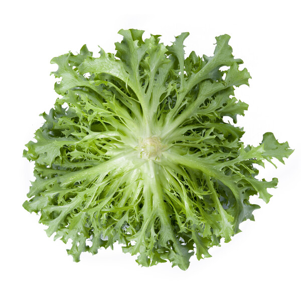 exau2.png