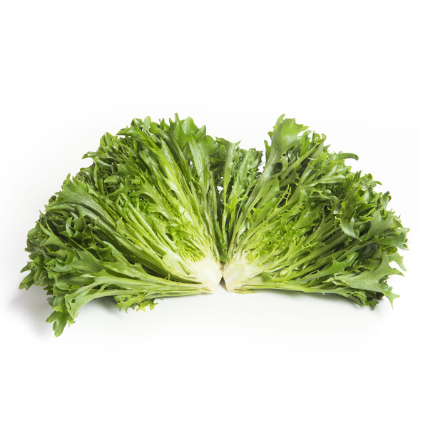 exca3.png