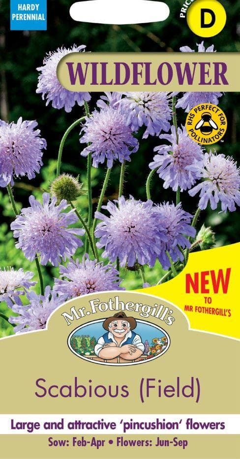 fieldscabious_comp_eb008c0f-648b-4925-aadb-274750a7c9b2.jpg