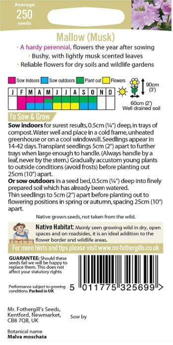 muskmallow2_comp_dd6206da-882c-4fad-92b0-015f4ae08bf4.jpg