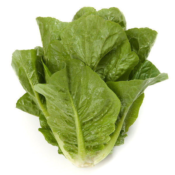 raf3.png