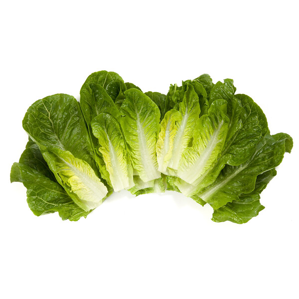 raf4.png