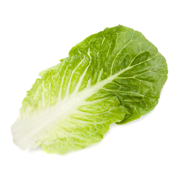 raf5.png