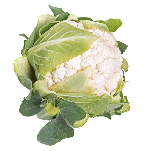 tramont1.png